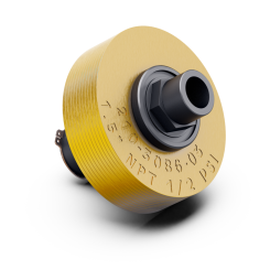 Weighted RV Assy 1.5'' NPT, 8